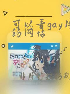 可以看gay片的网站