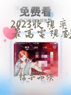 2023收视率最高电视剧