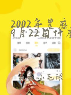 2002年农历9月22日什么命