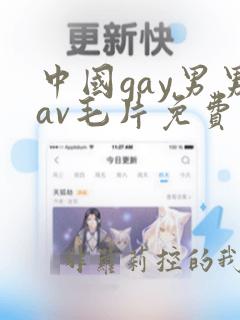 中国gay男男av毛片免费看