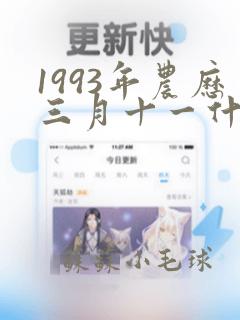 1993年农历三月十一什么命