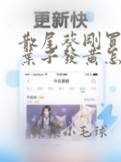 散尾葵刚买回来叶子发黄怎么办