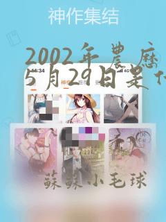 2002年农历5月29日是什么命