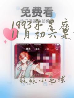 1993年农历11月初六是什么命