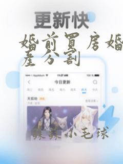 婚前买房婚后财产分割