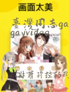 台湾同志gaygayvideo