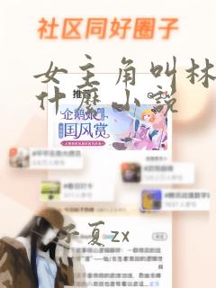 女主角叫林芷是什么小说