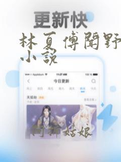 林夏傅闻野全文小说