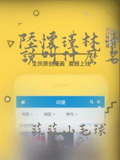 陆怀瑾林清欢小说叫什么名字