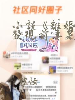 小说《离婚后,发现前妻是隐藏大佬》