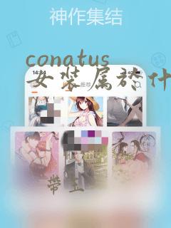 conatus女装属于什么档次