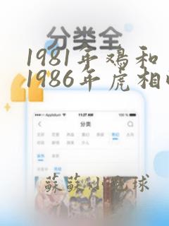 1981年鸡和1986年虎相配吗