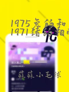 1975兔的和1971猪的相配吗