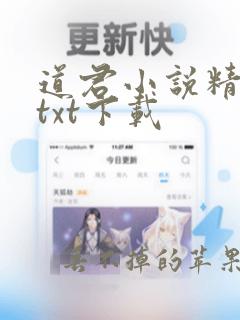 道君小说精校版txt下载