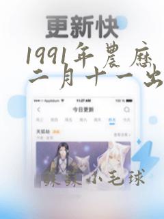 1991年农历二月十一出生是什么命