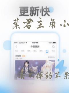 叶君主角小说