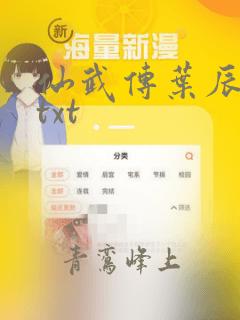 仙武传叶辰小说txt