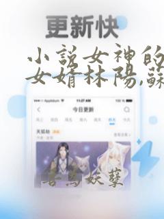 小说女神的上门女婿林阳,苏颜全文免费阅读