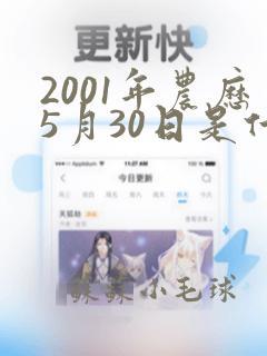 2001年农历5月30日是什么命