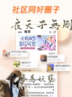 夜天子无删减