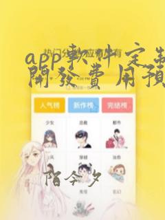 app软件定制开发费用预算