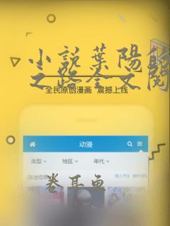 小说叶阳的青云之路全文阅读