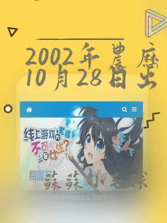 2002年农历10月28日出生男命