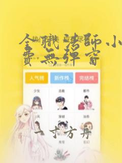 全职法师小说免费无弹窗