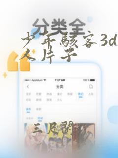 少年骇客3d同人片子