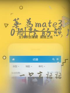 华为mate30删除的照片怎么找回来