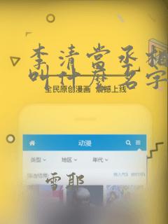 李清当丞相小说叫什么名字