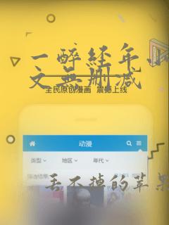 一醉经年小说全文无删减