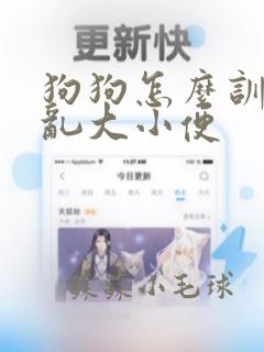 狗狗怎么训练不乱大小便