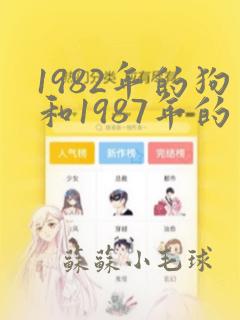 1982年的狗和1987年的兔相配吗