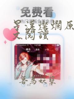 星汉灿烂原著全文阅读