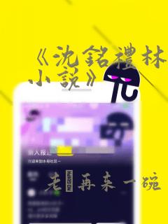 《沈铭礼林双意小说》