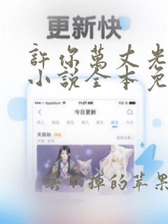 许你万丈光芒好小说全本免费阅读txt