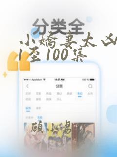 小娇妻太凶陆爷1至100集