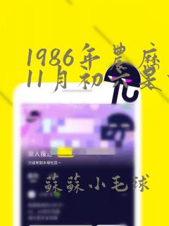 1986年农历11月初六是什么命