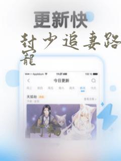 封少追妻路慢慢宠