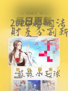 2022婚姻法财产分割新规定