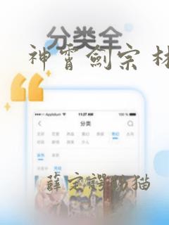 神霄剑宗 林枫