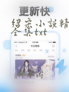 绍宋小说精校版全集txt