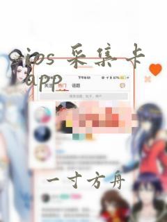 ios 采集卡app