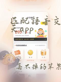 匹配语音交友聊天app