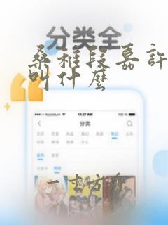 桑稚段嘉许小说叫什么