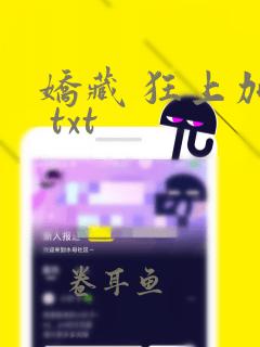 娇藏 狂上加狂 txt