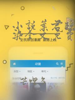 小说叶君临李子染全文免费