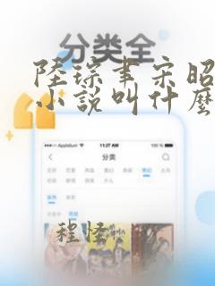 陆琮聿宋昭禾的小说叫什么