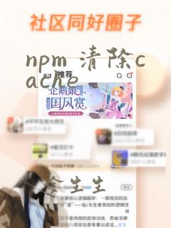 npm 清除cache